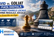 David vs. Goliat in Piata Digitala: Cum Directoarele Locale Schimba Regulile Jocului pentru Firmele Mici din Arges