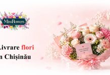 Livrare de flori în Chișinău: Cum alegi buchetul potrivit când vrei să faci o surpriză reușită